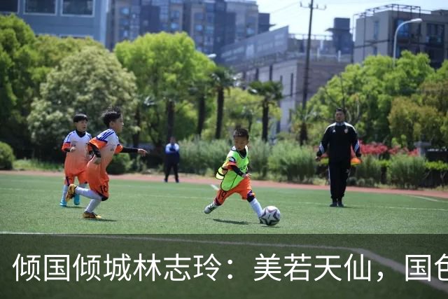 倾国倾城林志玲：美若天仙，国色天香。沉鱼落雁，闭月羞花！