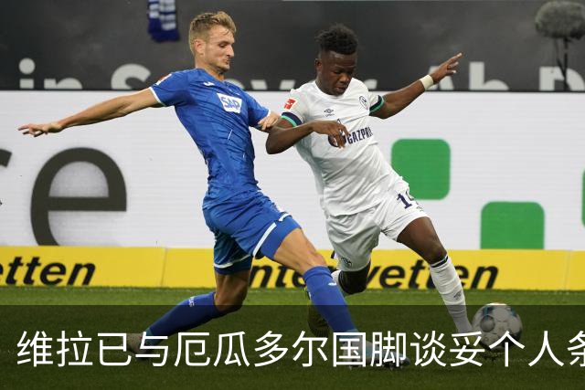 维拉已与厄瓜多尔国脚谈妥个人条款 布鲁日要价4300万英镑